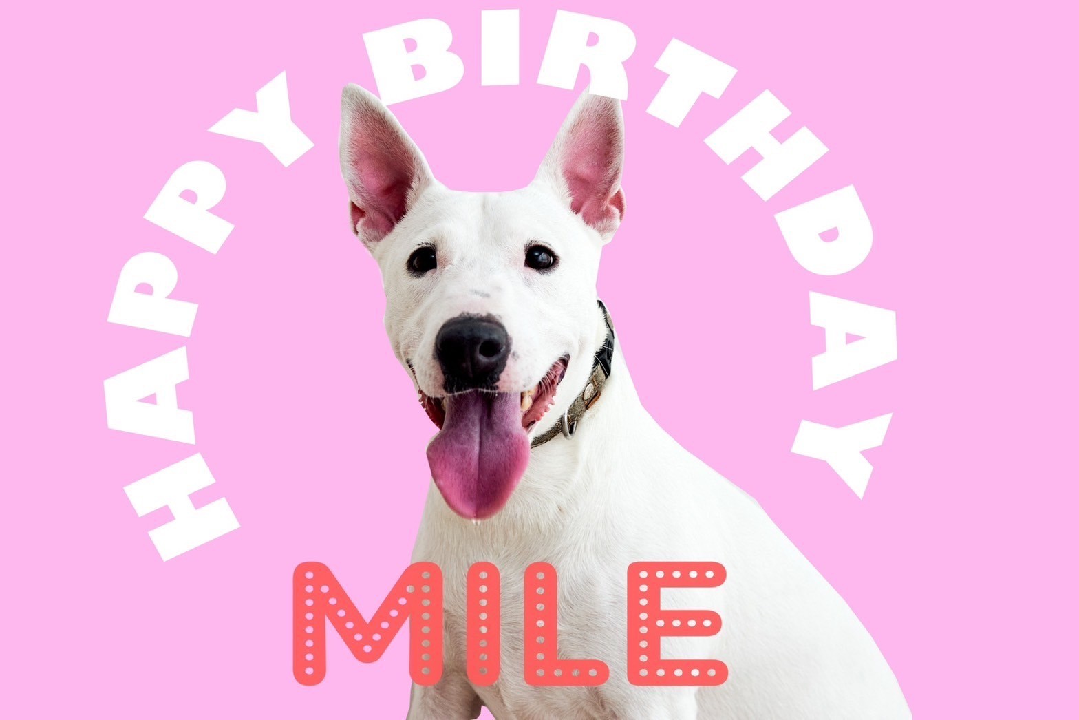 LINE_ALBUM_20231229_231229_18